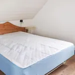 Amazing In With Sauna