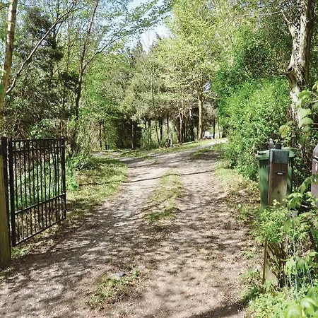 Amazing In With Sauna Ferienhaus *